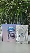 Bear-Science - GALLERY