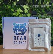 Bear-Science - GALLERY