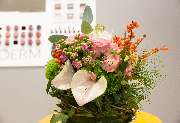 beauty.Point - GALLERY