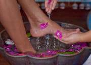 Beauty Queen Josys Cosmetica - GALLERY