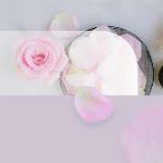 Beauty Solutions Institute - GALLERY