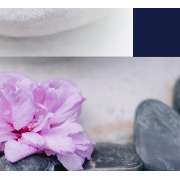 Beauty Solutions Institute - GALLERY