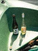 be°bubbly I Sekt Köln - be°bubbly I Sekt Köln