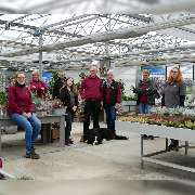 Bee wie Blumen - GALLERY