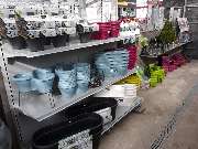 Bee wie Blumen - GALLERY