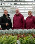 Bee wie Blumen - GALLERY