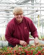 Bee wie Blumen - GALLERY