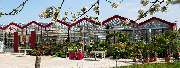 Bee wie Blumen - GALLERY