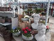 Bee wie Blumen - GALLERY