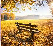 Beerdigungsinstitut Stickel - 3