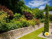 BELLA FLORA GmbH - GALLERY