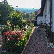 BELLA FLORA GmbH - GALLERY