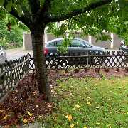 BELLA FLORA GmbH - GALLERY