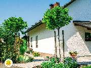 BELLA FLORA GmbH - GALLERY