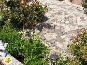 BELLA FLORA GmbH - GALLERY