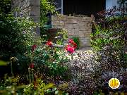 BELLA FLORA GmbH - GALLERY