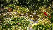 BELLA FLORA GmbH - GALLERY