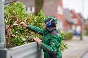 Belling Garten- & Landschaftsservice - Baumpflege