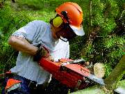 Bellinghausen Garten & Zaun - BAUMARBEITEN - Hier klicken!