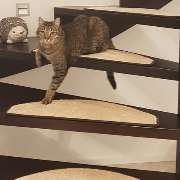 bellosteps Tesche Kettelbetrieb - GALLERY