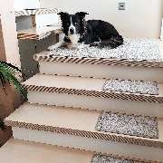 bellosteps Tesche Kettelbetrieb - GALLERY