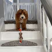 bellosteps Tesche Kettelbetrieb - GALLERY