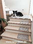 bellosteps Tesche Kettelbetrieb - GALLERY