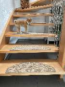 bellosteps Tesche Kettelbetrieb - GALLERY