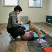 bellwegbar-Praxis für Hundephysiotherapie - GALLERY