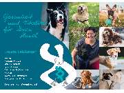 bellwegbar-Praxis für Hundephysiotherapie - GALLERY