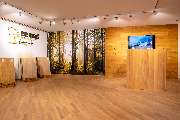 Bembé Parkett - GALLERY
