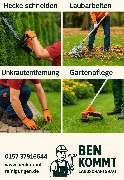 Ben Kommt - GALLERY