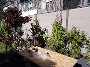 Bens Services - c945f165-215d-4914-ba02-f8887442f75a.jpg