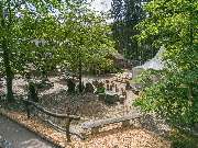 Berggasthof Butterberg - GALLERY