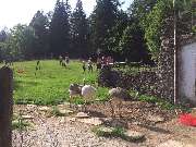 Bergpension Maroldhof - 4