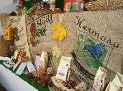 Berliner Kaffeekontor - GALLERY