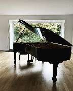 Berliner Klaviertransport - GALLERY