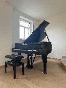 Berliner Klaviertransport - GALLERY