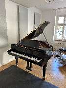 Berliner Klaviertransport - GALLERY