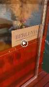 BERLUVIA - Eventboot Berlin - GALLERY