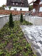 Bernd Katz Garten- und Anlagenpflege - GALLERY