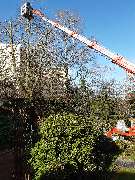 Bernd Katz Garten- und Anlagenpflege - GALLERY