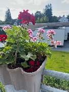 Bernstein - Ihre Pflegeeinrichtung für Senioren Wohnen in Essen - GALLERY