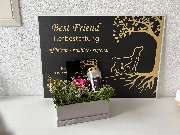 Best Friend Tierbestattung - GALLERY