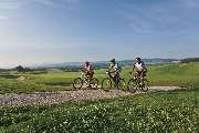 Best Western Aparthotel Birnbachhoehe - Local attraction