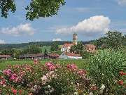 Best Western Aparthotel Birnbachhoehe - Local attraction