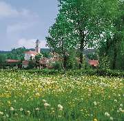 Best Western Aparthotel Birnbachhoehe - Local attraction