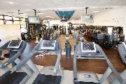 Best Western Hotel Hohenzollern - Health club  fitness center  gym