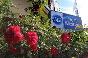 Best Western Hotel Rosenau - Hotel Entrance