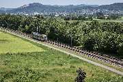 Best Western Hotel Viernheim Mannheim - Local attraction